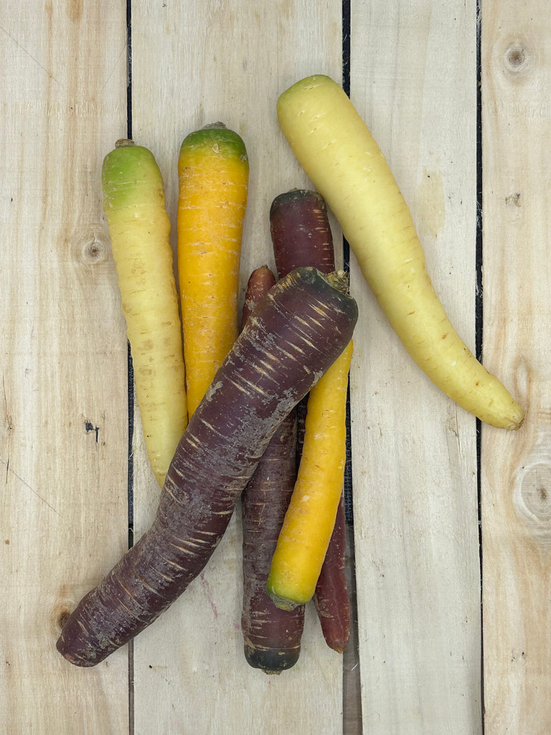 Carotte Couleur +/- 500gr