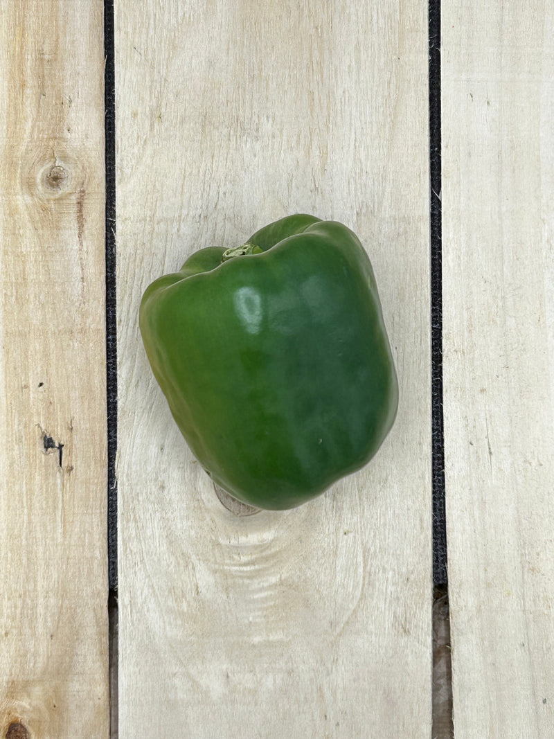 Poivron Vert / pièce (+/-450gr)