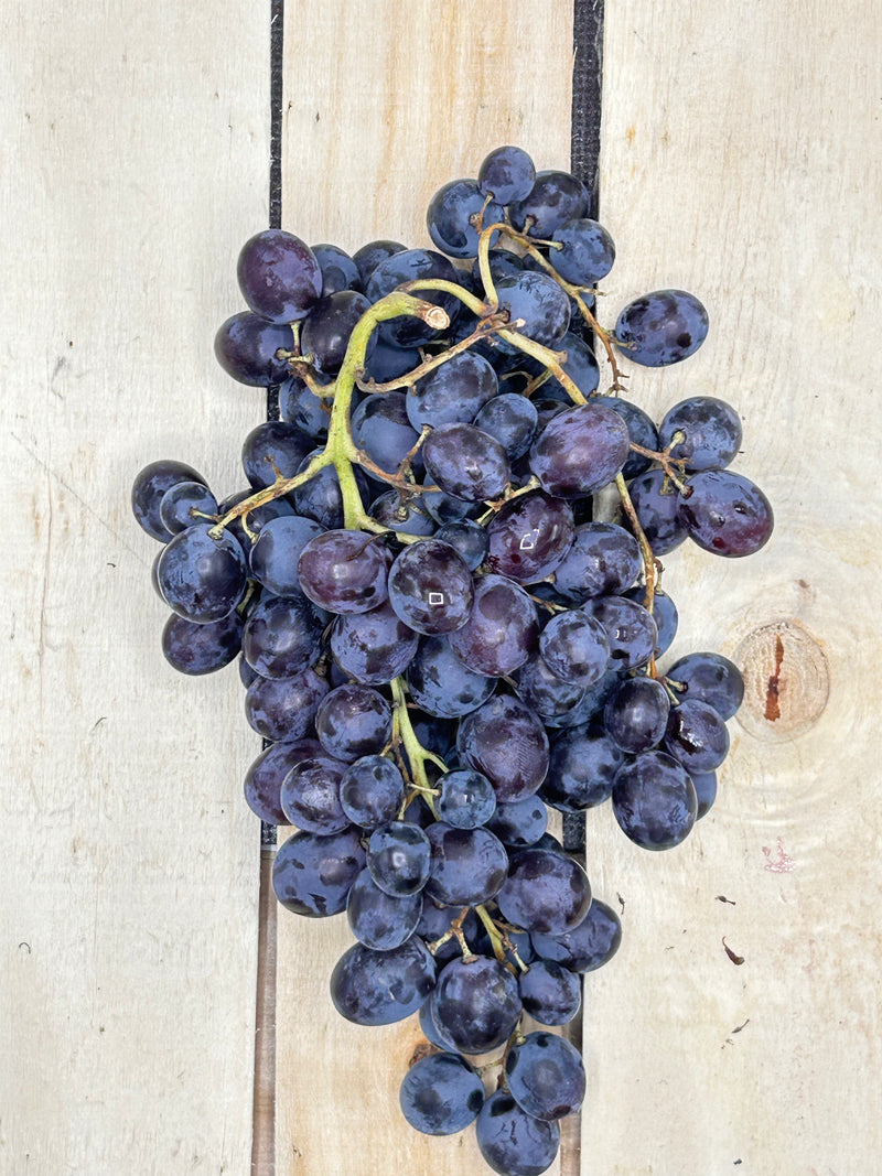 Raisin Muscat +/- 500gr